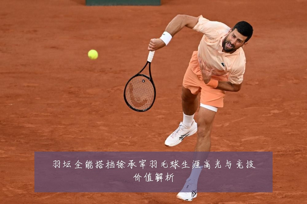 羽坛全能搭档徐承宰羽毛球生涯高光与竞技价值解析