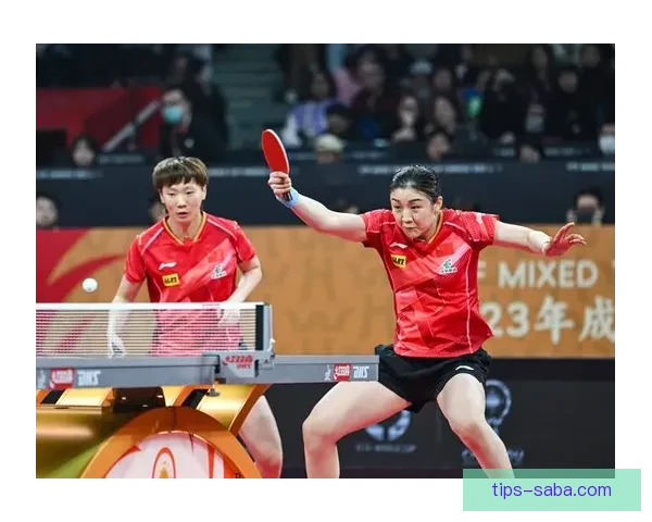 世界杯体育竞猜分析趋势与策略深度解读助你精准把握比赛胜负走向